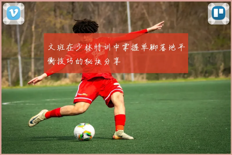 文班在少林特训中掌握单脚落地平衡技巧的秘诀分享