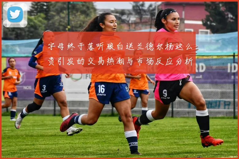 字母终于落听狼白送兰德尔杨这么贵引发的交易热潮与市场反应分析