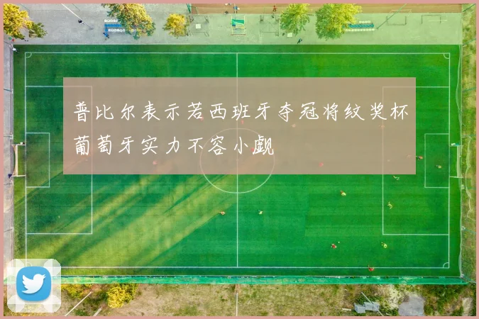 普比尔表示若西班牙夺冠将纹奖杯葡萄牙实力不容小觑