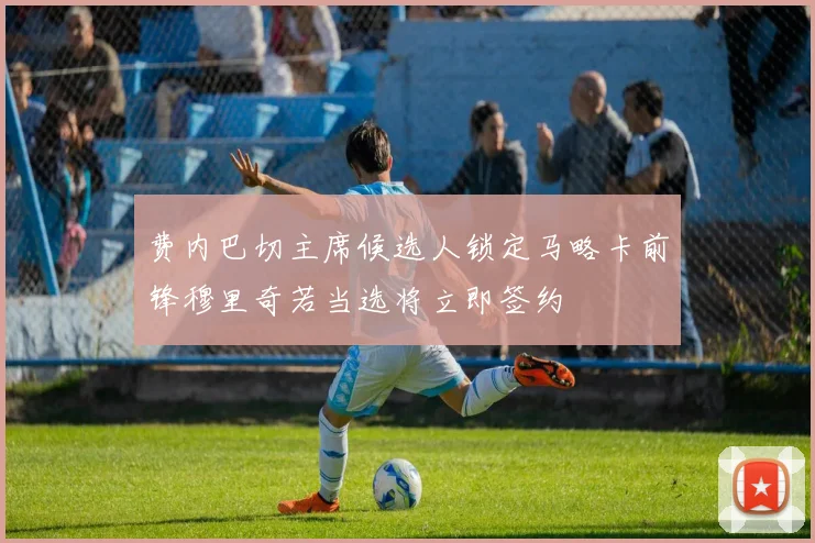 费内巴切主席候选人锁定马略卡前锋穆里奇若当选将立即签约